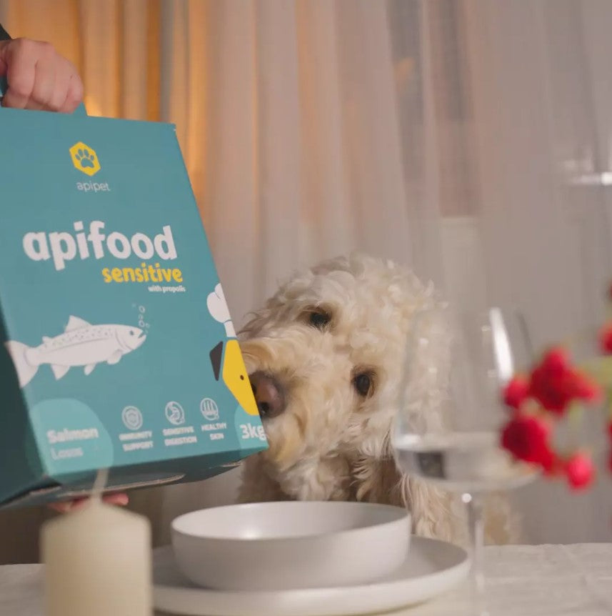 Hondenvoer Apifood Sensitive Zalm