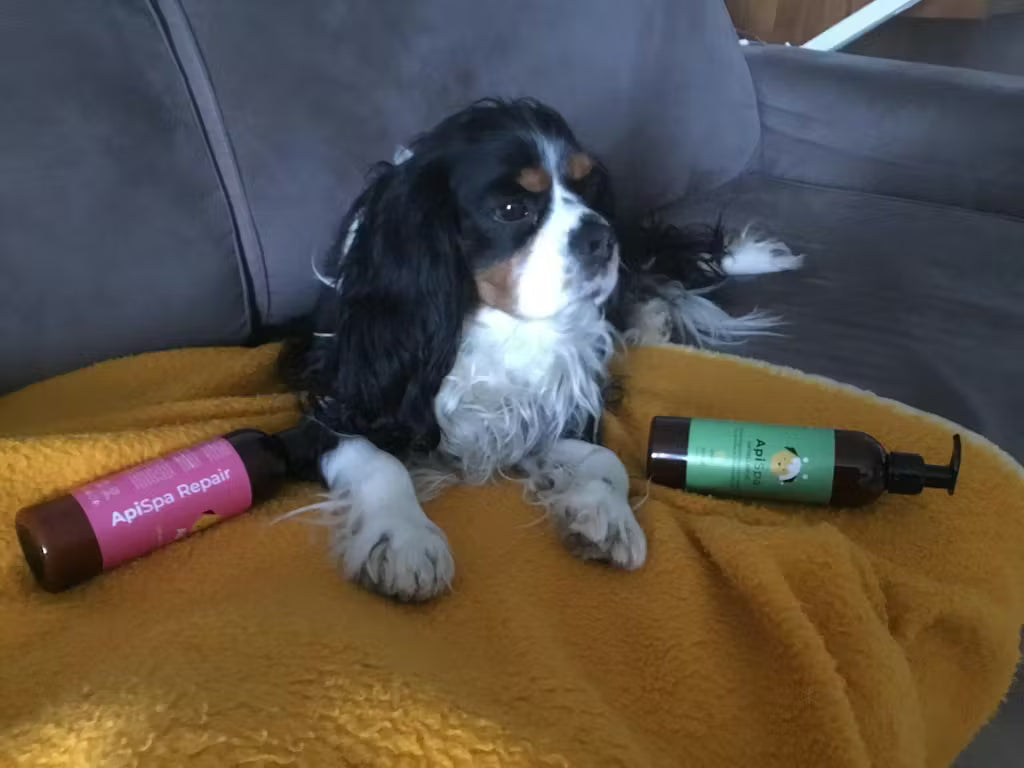 Apispa Antiallergische shampoo 250ml