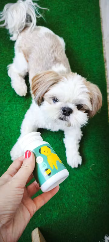 Honden Supplementen Apipet Skin