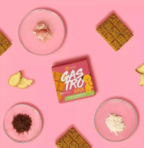 Honden Supplementen Apipet Brix Gastro 54 blokjes