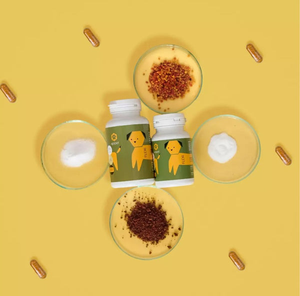 Honden Supplementen Apipet Flexi