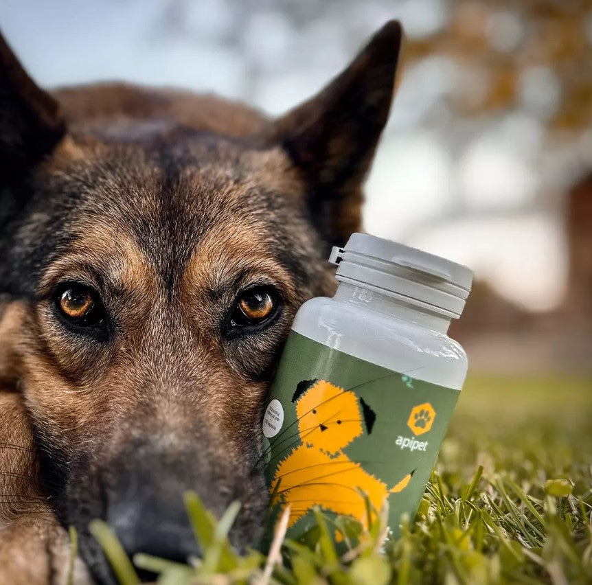 Honden Supplementen Apipet Skin (120 Kapseln)