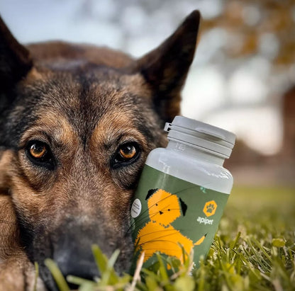 Honden Supplementen Apipet Skin (120 Kapseln)