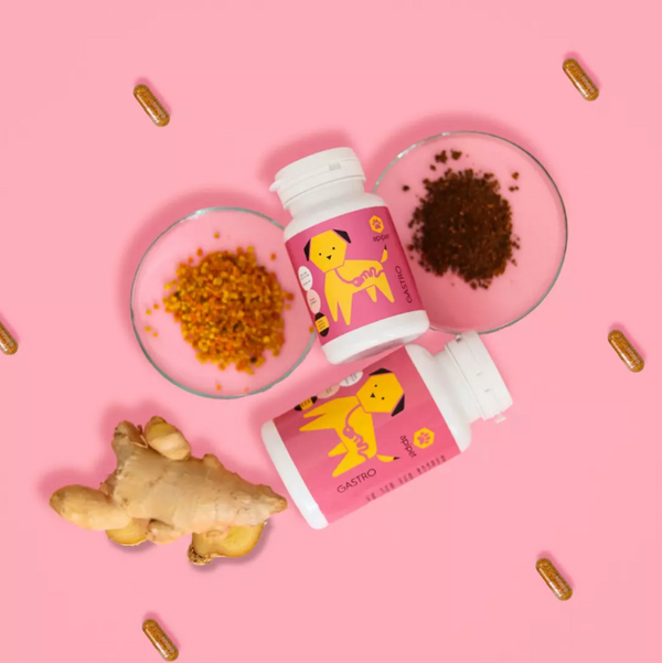 Honden Supplementen Apipet Gastro