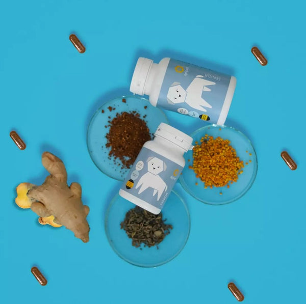Honden Supplementen Apipet Senior