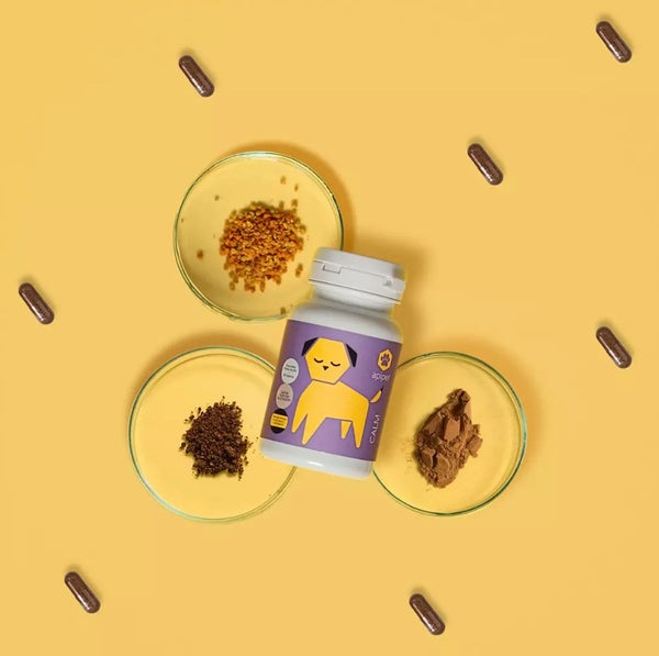 Honden Supplementen Apipet Calm 60 Capsules