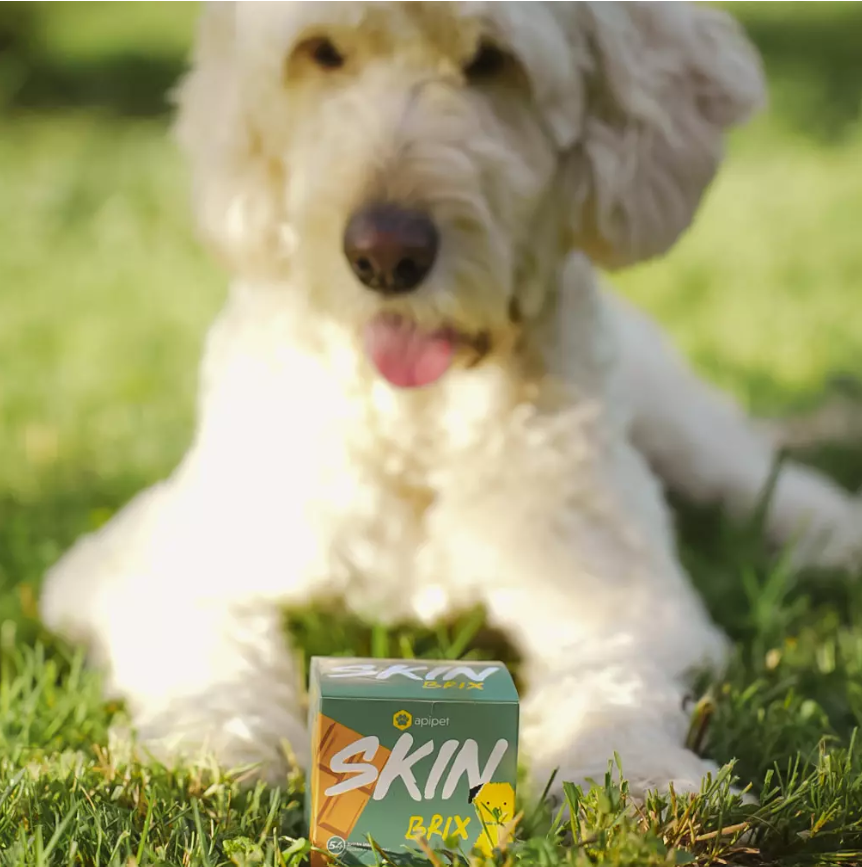 Honden Supplementen Apipet Brix Skin