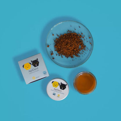 ApiDent 25ml 