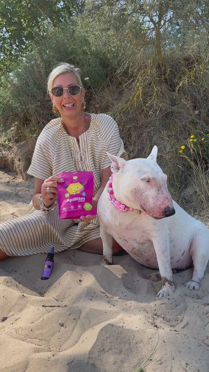 ApiBites Kalkoen 40g