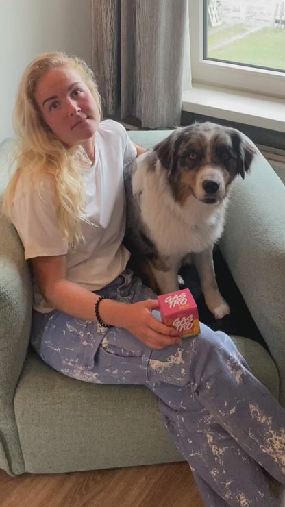 Honden Supplementen Apipet Brix Gastro 54 blokjes