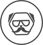 Oudere honden, cognitieve verzwakking, gebrek aan focus