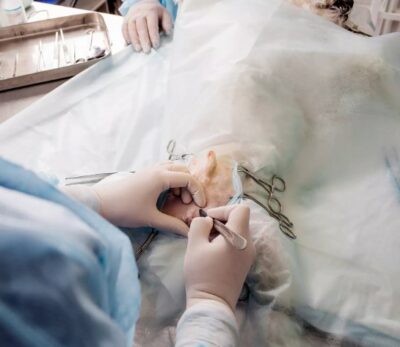 Castraties - preoperatieve en postoperatieve procedure